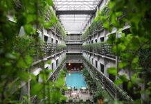 Can High-Tech Solutions Make Vertical Farming Sustainable?