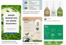 Effective Green Marketing Strategies Can Build a Sustainable Brand