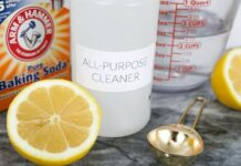 Safe and Sustainable Cleaning Products for the Eco-friendly Household