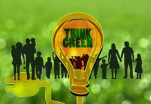 Adopt Best Practices in Green Marketing Regulations to Avoid Legal Traps