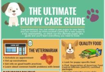 Educational Benefits Pet Ownership: Teaching Responsibility and Empathy