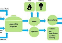 Transforming Food Waste into Renewable Energy: Anaerobic Digestion Path to Zero Waste