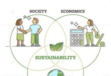 Benefit Corporations or B Corps: Where Business Meets Purpose