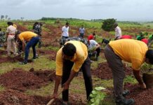 How Unrestricted Grants Support the Unseen Work of Environmental Conservation