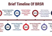 Evolving BRSR Reporting Framework and ESG Implementation for SMEs: