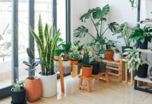 Eco-Friendly Interior Design Strategies That Make Your Home More Sustainable