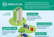 What Carbon Offsetting Really Means for Singapore’s Sustainability Goals