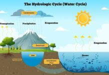 India Needs Smarter Water Conservation Strategies to Ensure Water is Really Renewable