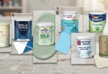 Growth of Eco-friendly Paints Shows Indian Paint Industry Is Cleaning Up Its Act